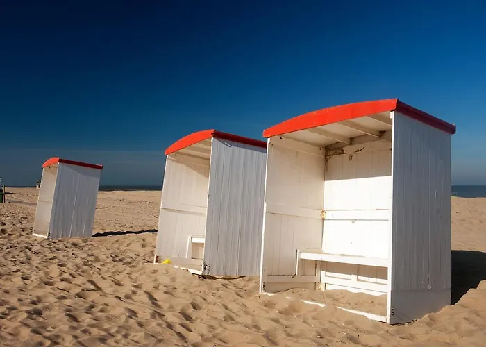Apart Otel Steeds Aan Zee Katwijk aan Zee