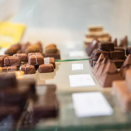 Hotel Steeds Aan Zee Катвейк-ан-Зе