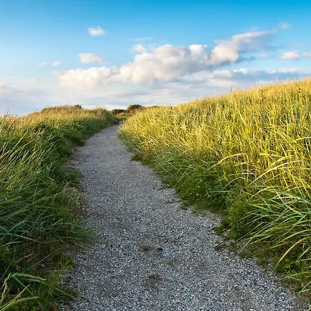 Steeds Aan Zee كاتفايك أن زي