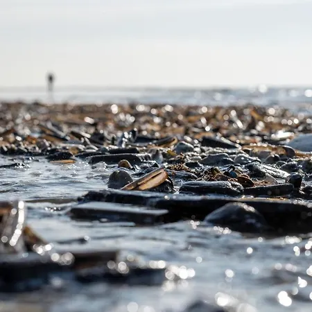Hotel Steeds Aan Zee Katwijk aan Zee