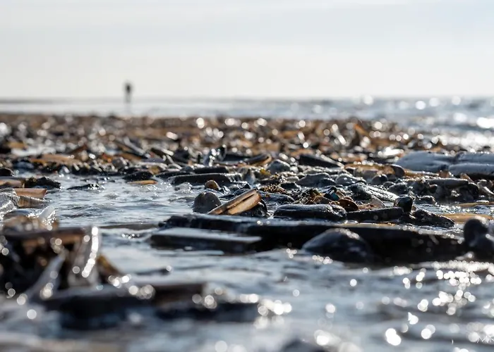 Steeds Aan Zee Katwijk aan Zee